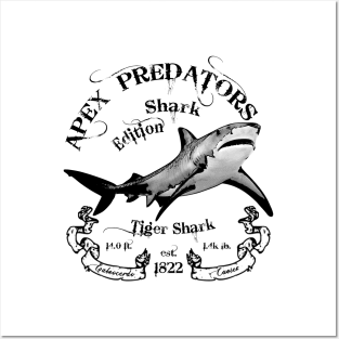 Apex Predators - Shark Edition - Tiger Shark Posters and Art